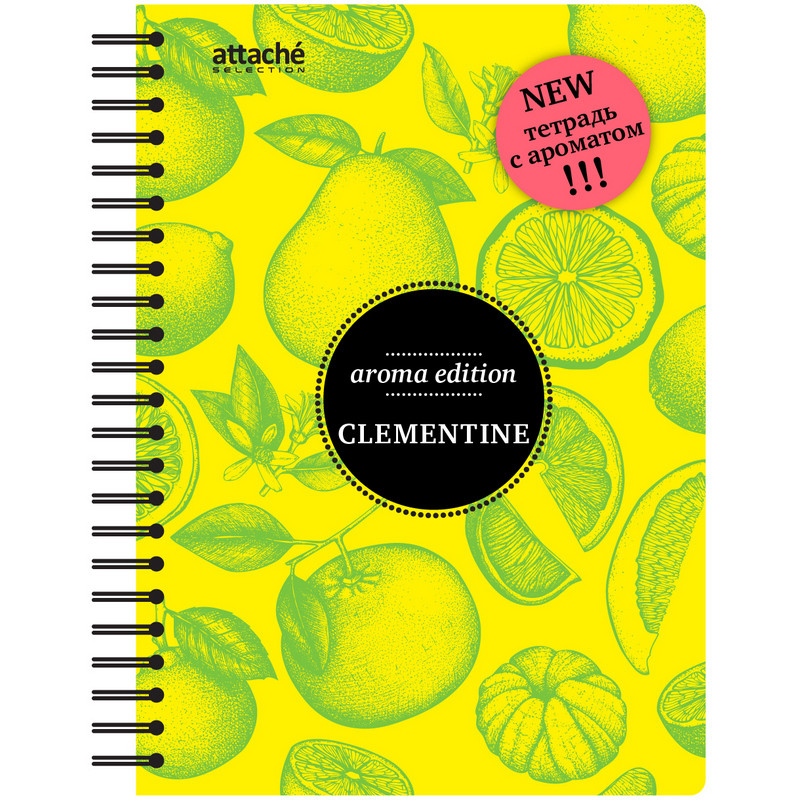 Бизнес-тетрадь  ароматизир.100л,кл,А5, КЛЕМЕНТИН,спир,тонир.блок 84906