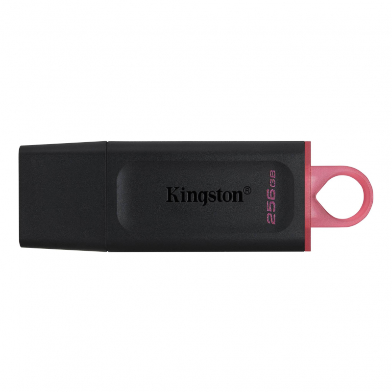 Флеш-память Kingston DataTraveler Exodia, USB 3.2 G1, роз/чер, DTX/256GB