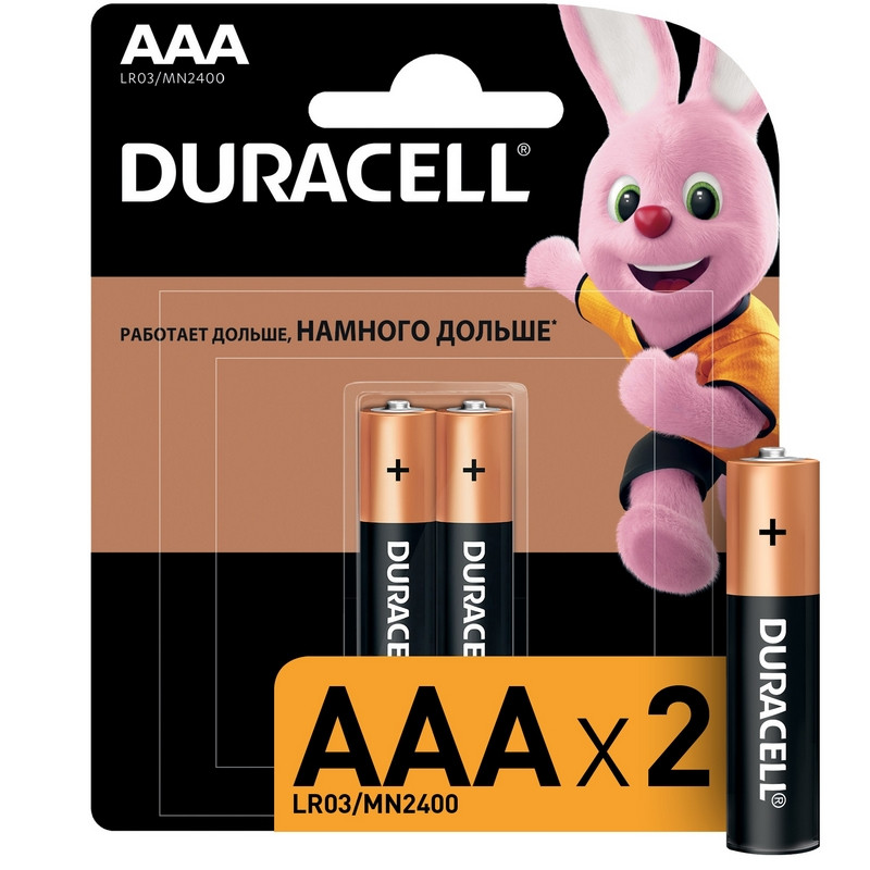 Батарея DURACELL ААA/LR03-2BL BASIC бл/2