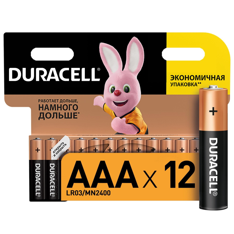 Батарея DURACELL ААA/LR03-12BL BASIC бл/12